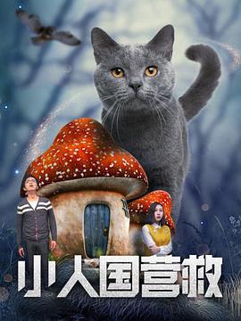 崭新的一天